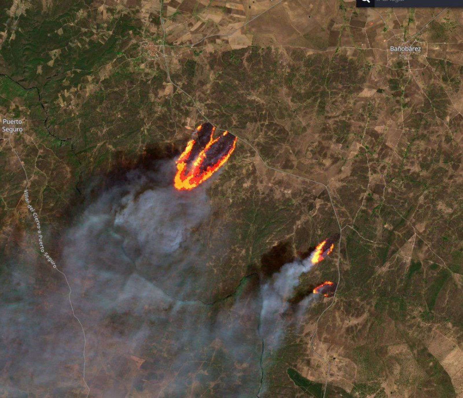 WhatsApp Image 2021 08 18 at 13.30.26 (1)