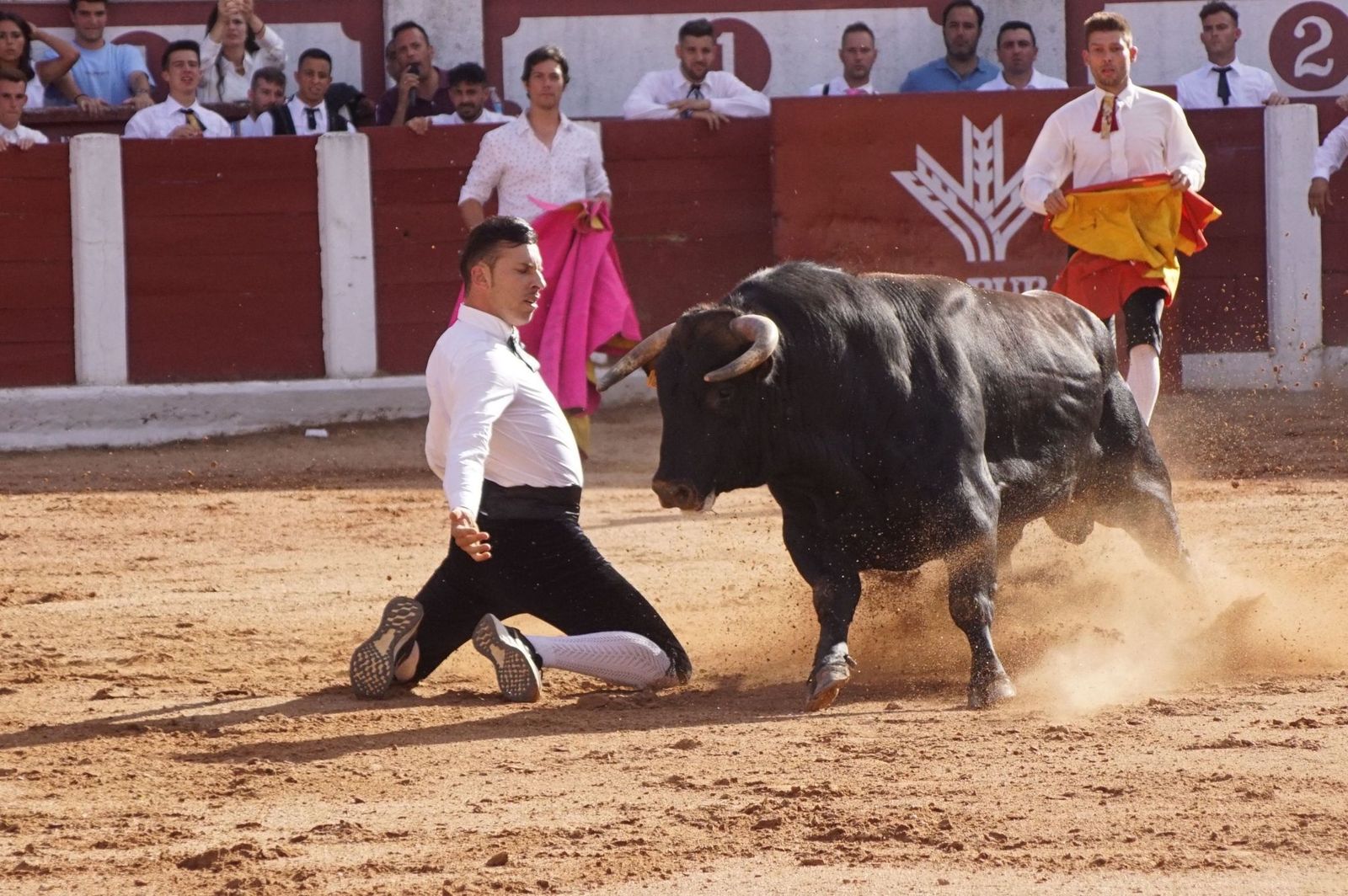 whatsapp-image-2023-07-02-at-22-40-26