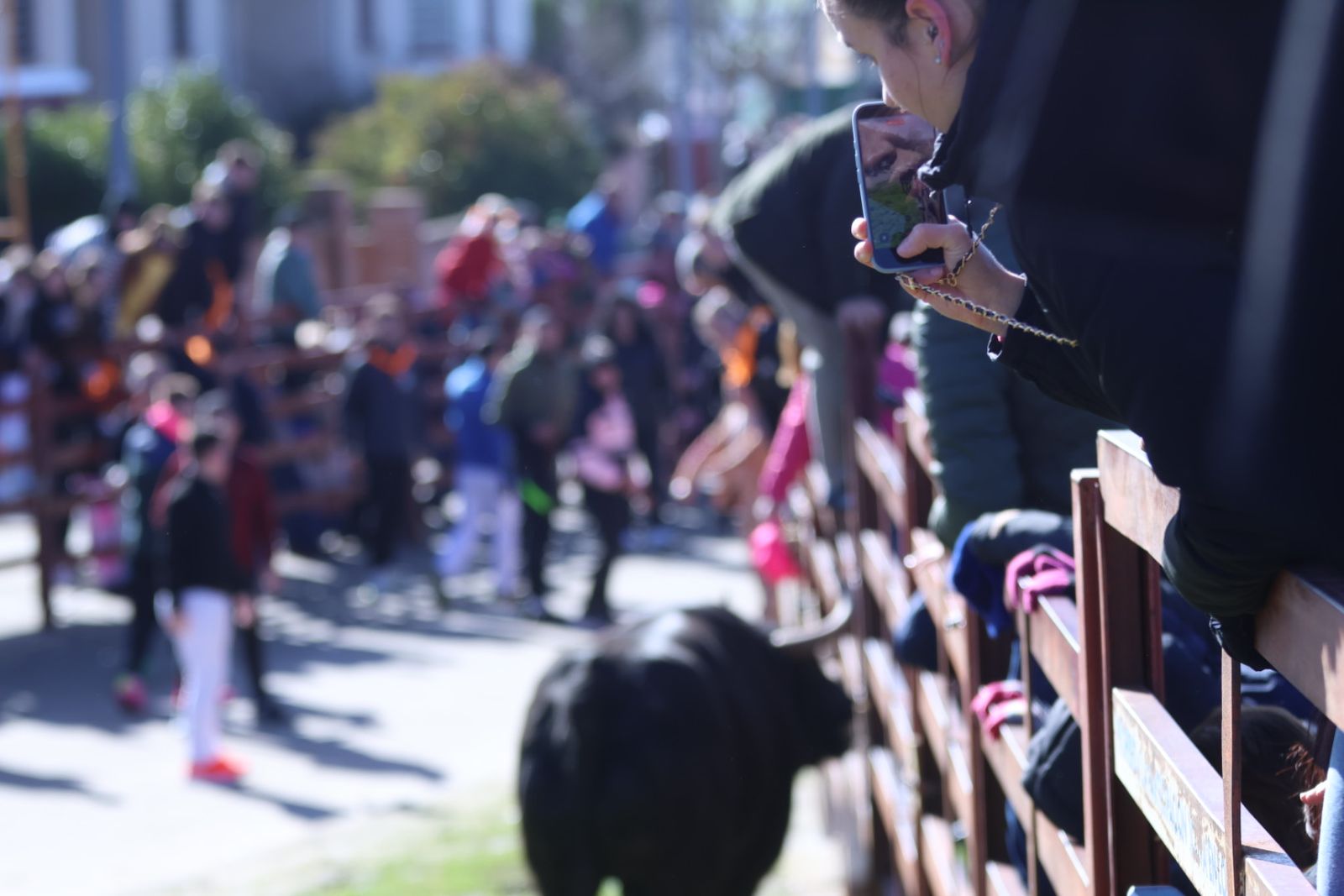 Toro del Antruejo 2026 en el Carnaval del Toro de Ciudad Rodrigo