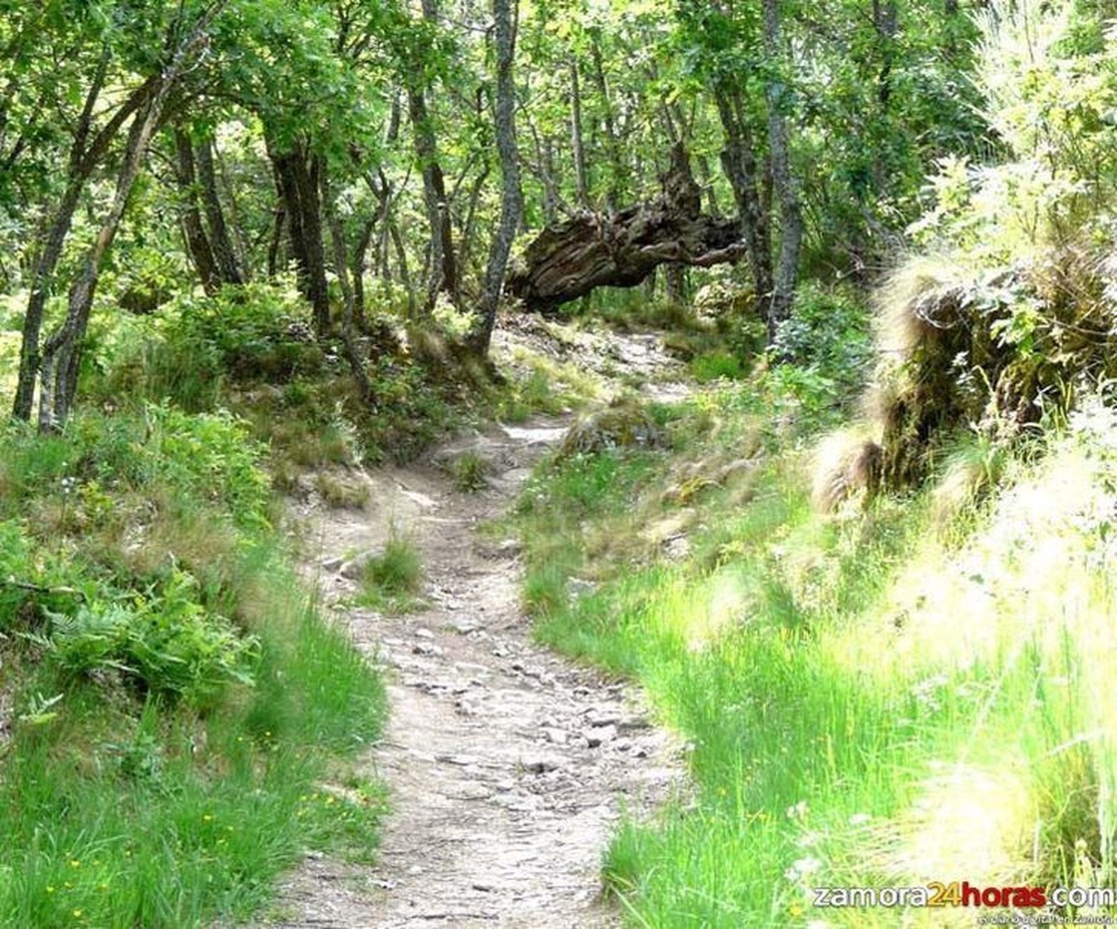 Hoy termina el plazo inscribirse en las actividades de voluntariado internacional de la Junta