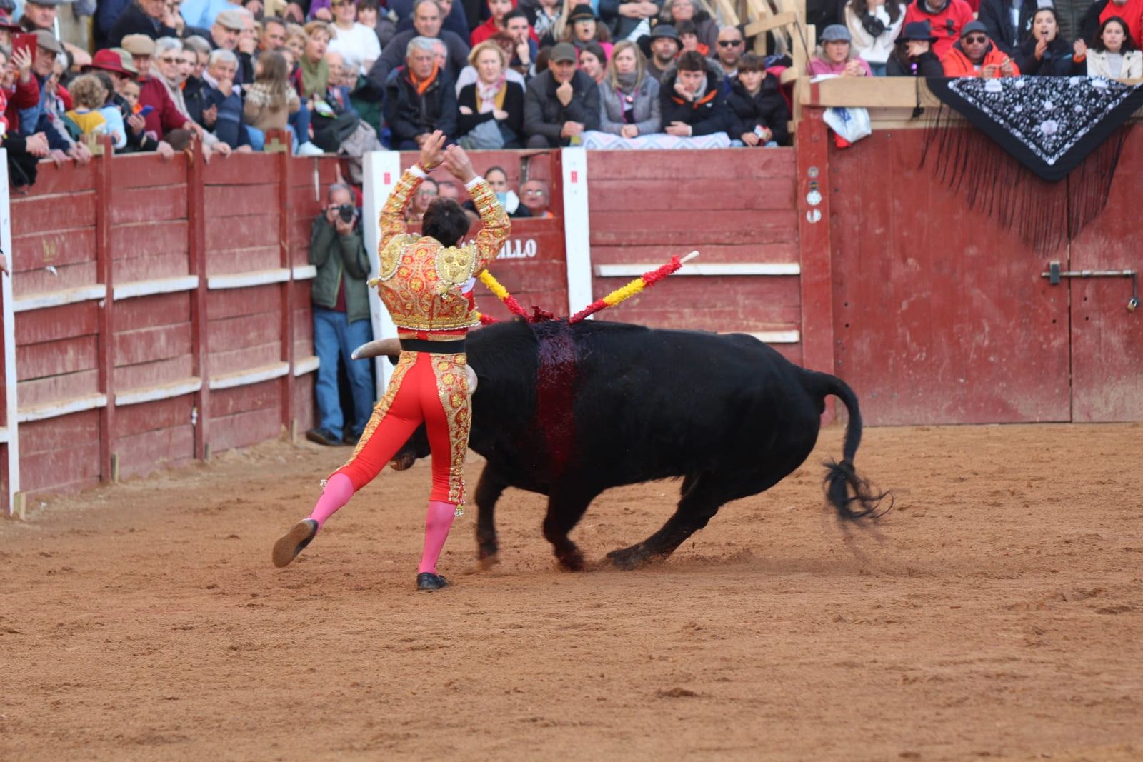 novillada-con-picadores-lunes-de-carnaval-en-ciudad-rodrigo-5
