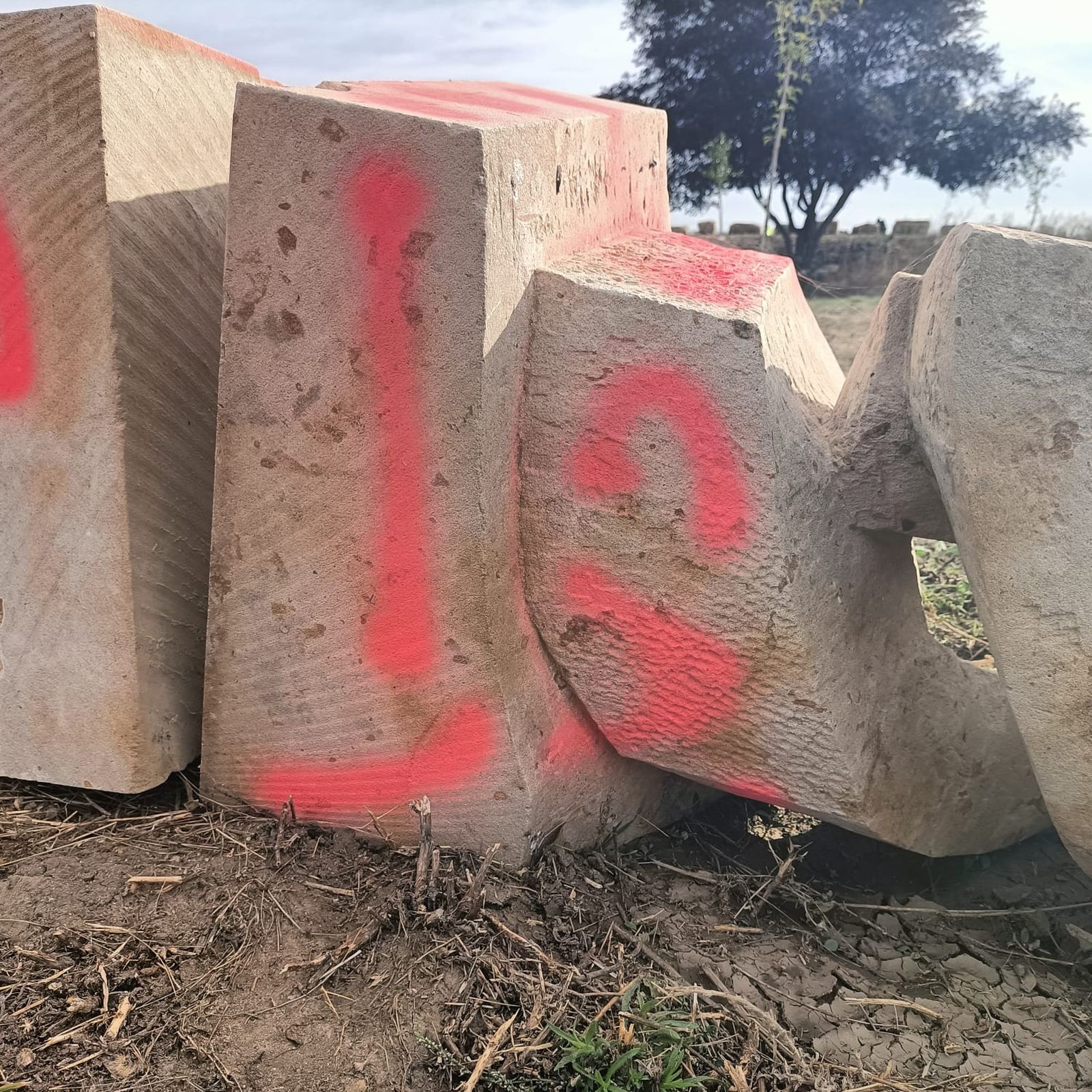 whatsapp-image-2023-10-24-at-22-13-05