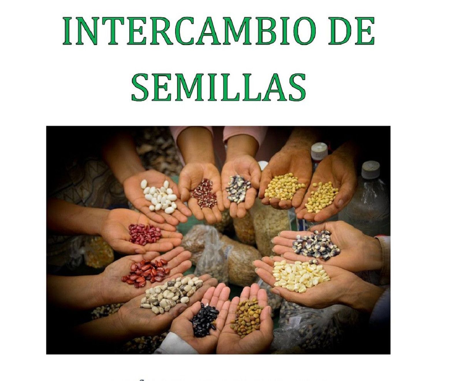 CARTEL 2019 Intercambio de Semillas