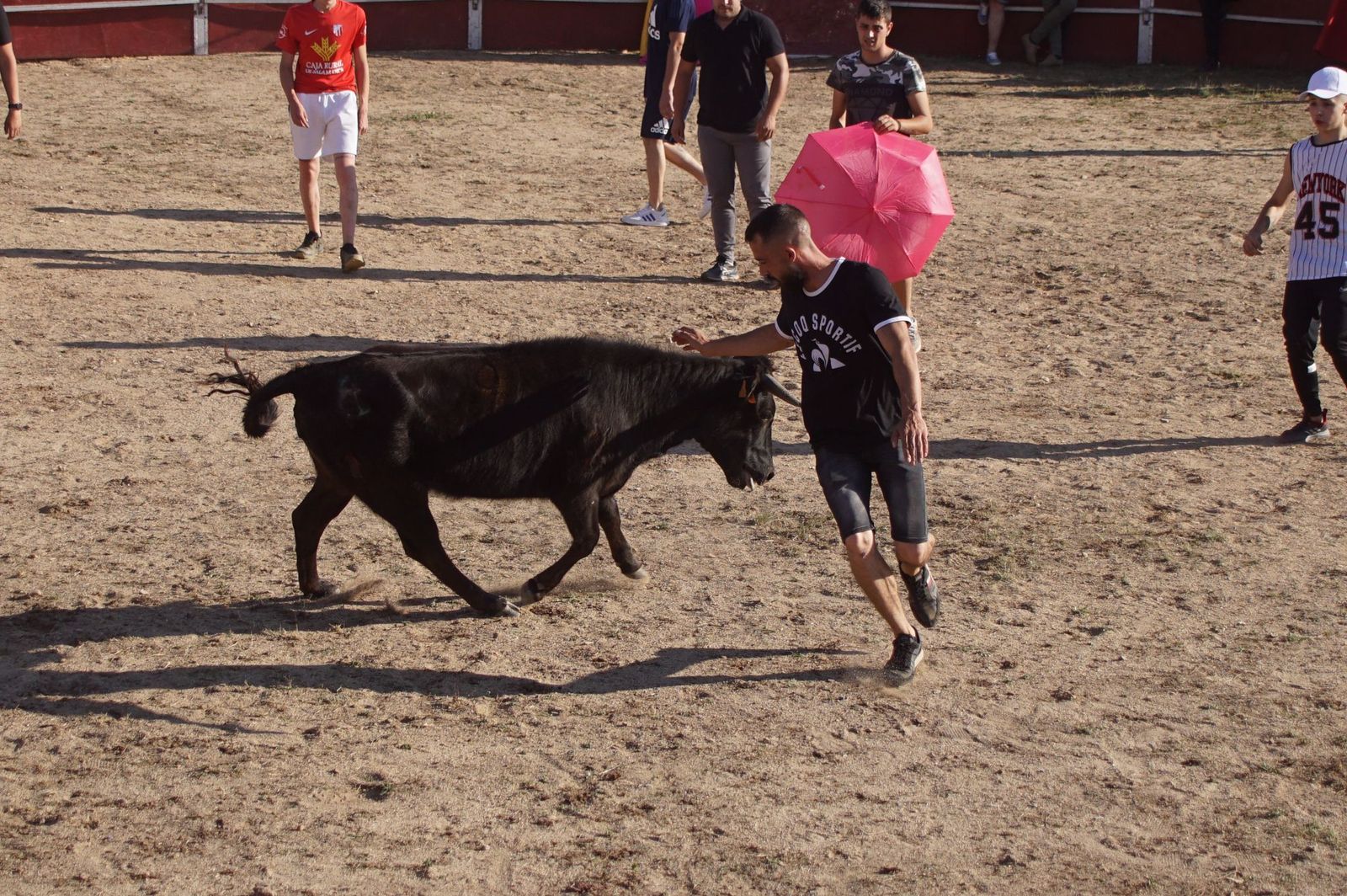 capea-fiestas-de-carrascal-de-barregas-38