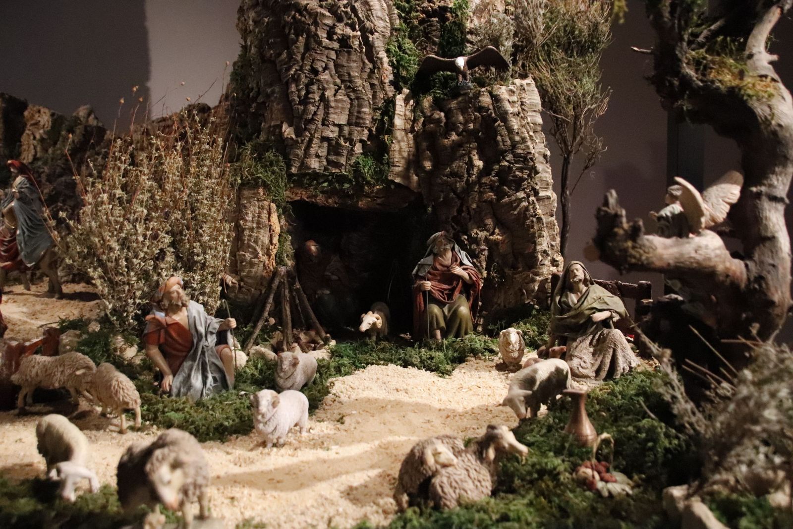 20221201125955-mg-4613