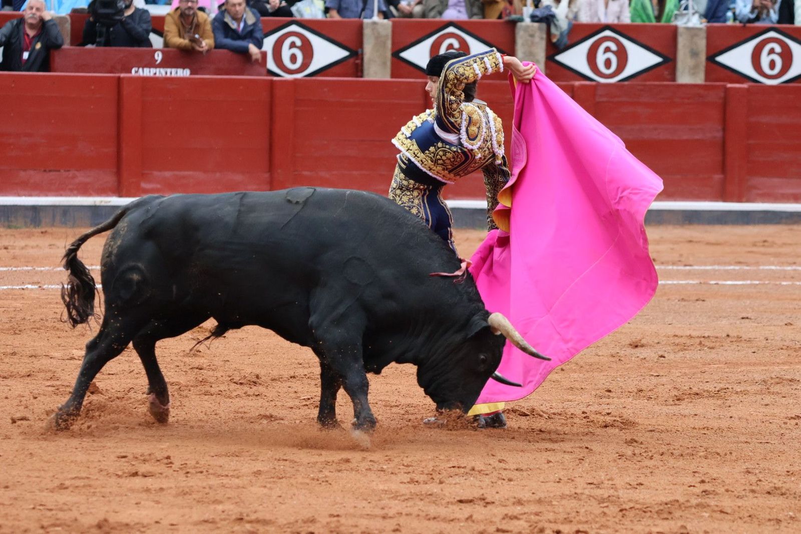 20230916181719-img-5461