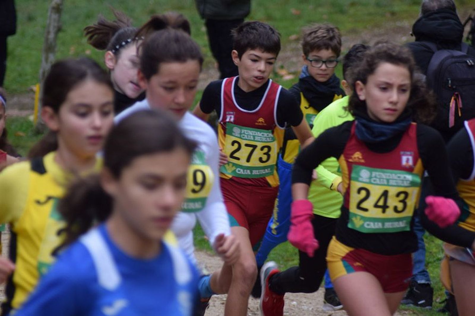 cross-de-otono-en-el-bosque-de-valorio-40