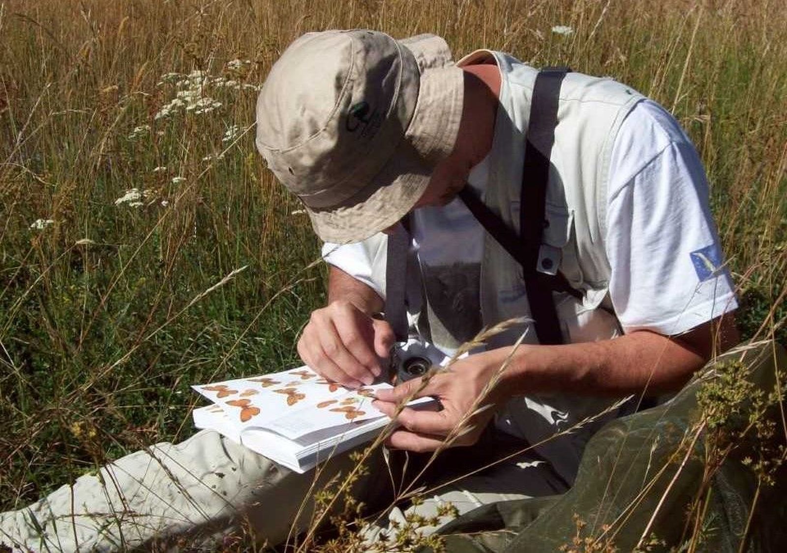 Mariposas y aves centrarán la actividad de dos talleres de Educación Ambiental