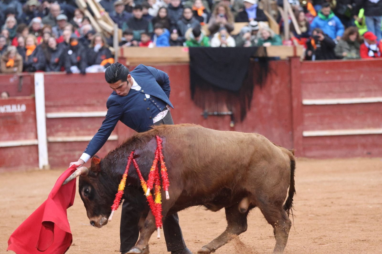 Novillada sin picadores del bolsín taurino y rejones en Ciudad Rodrigo