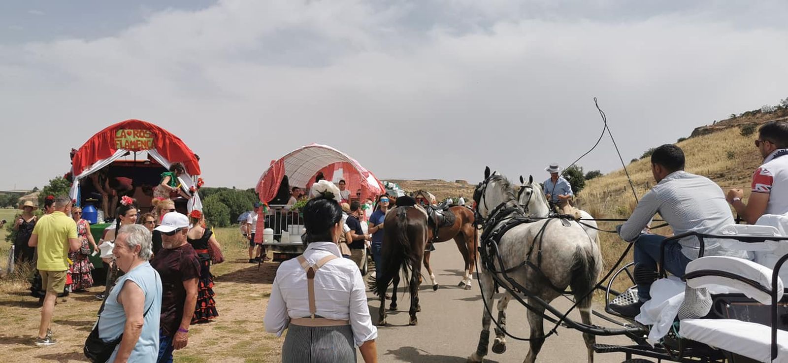 viii-camino-flamenco-entre-zamora-y-andavias-13