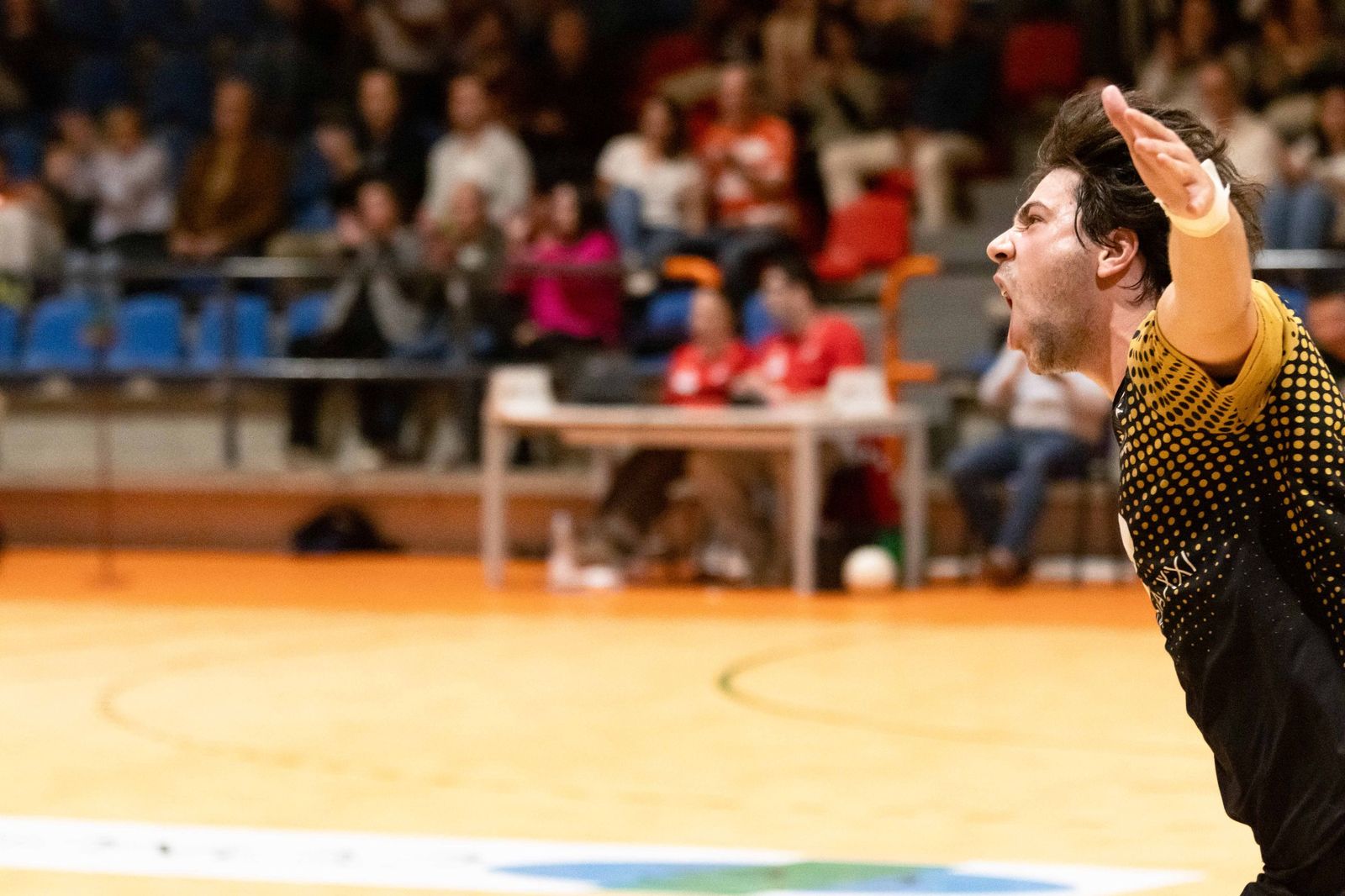 Balonmano Salamanca – Safa Madrid