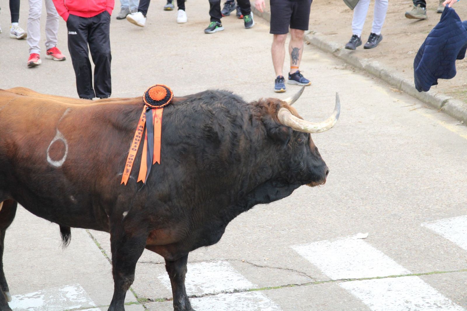 whatsapp-image-2025-03-01-at-11-56-23-1