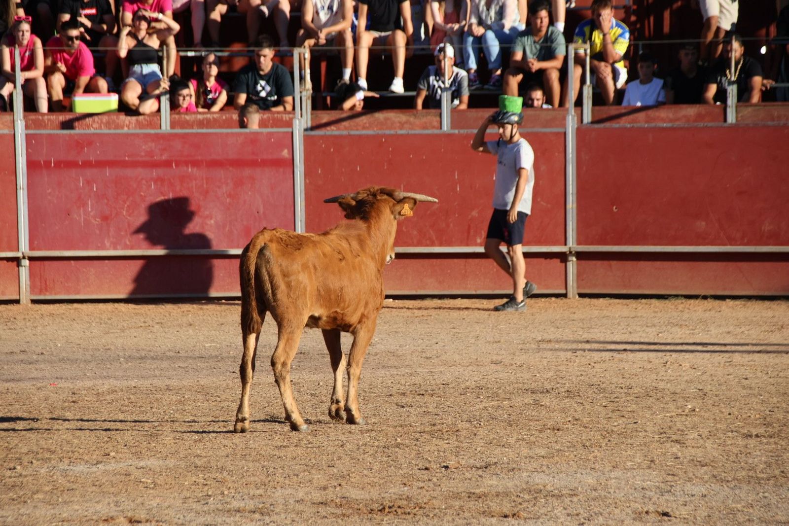 20240816185921-img-3995