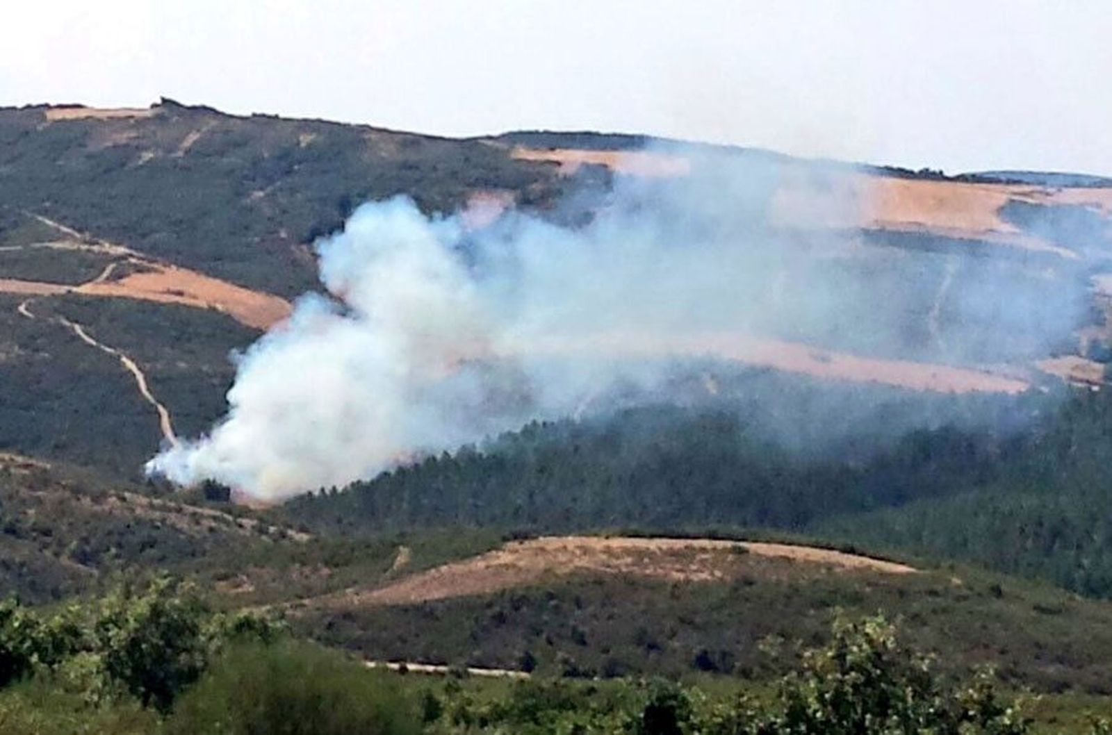 Incendio vega nuez 18