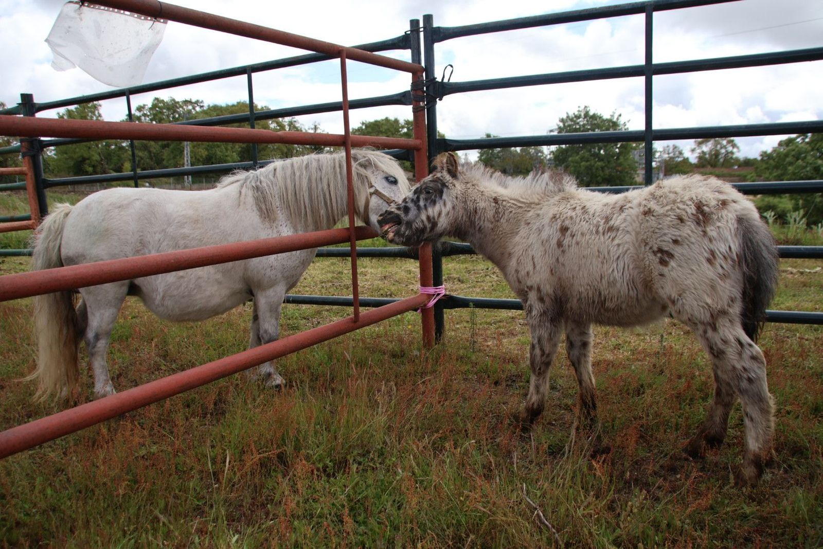 20240501102704-img-2890