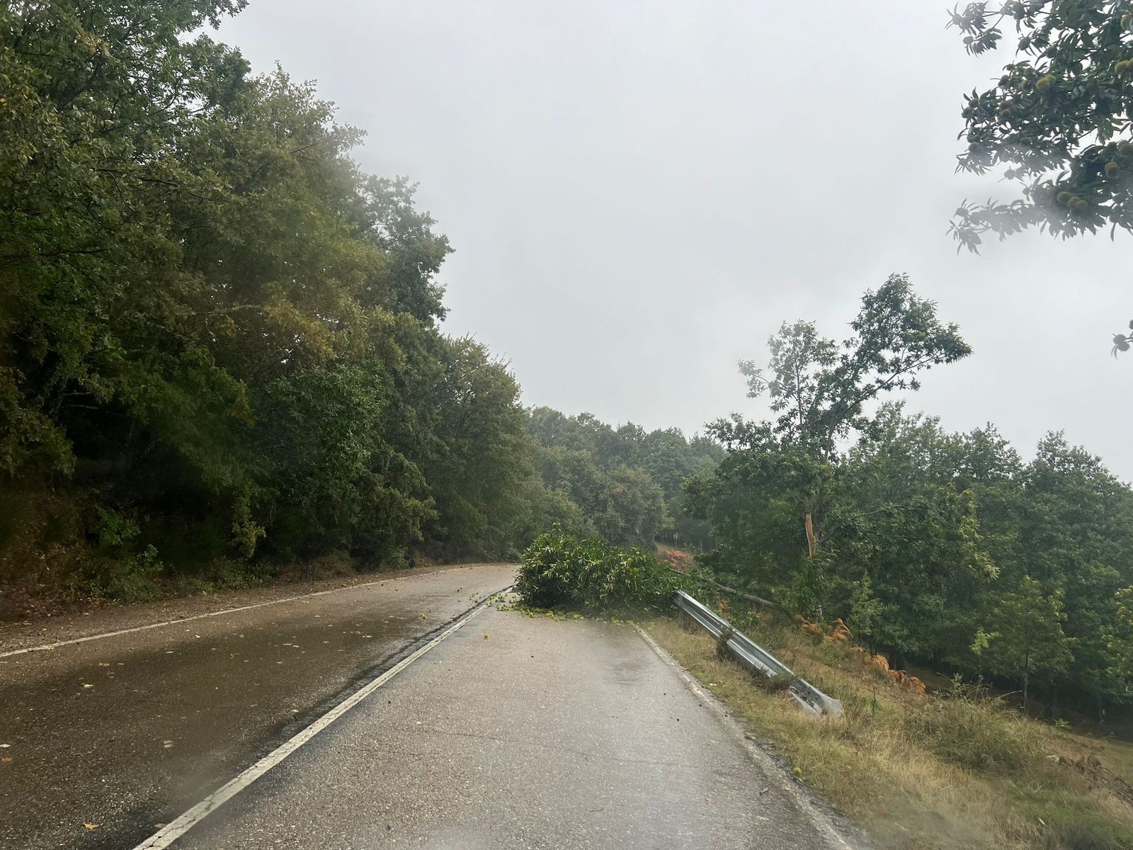 Una de las carreteras afectadas. Temporal Kirk provincia de Zamora