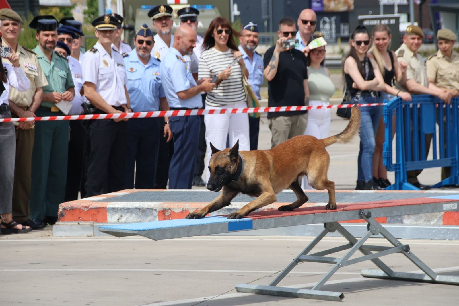 20240606110047-img-5489