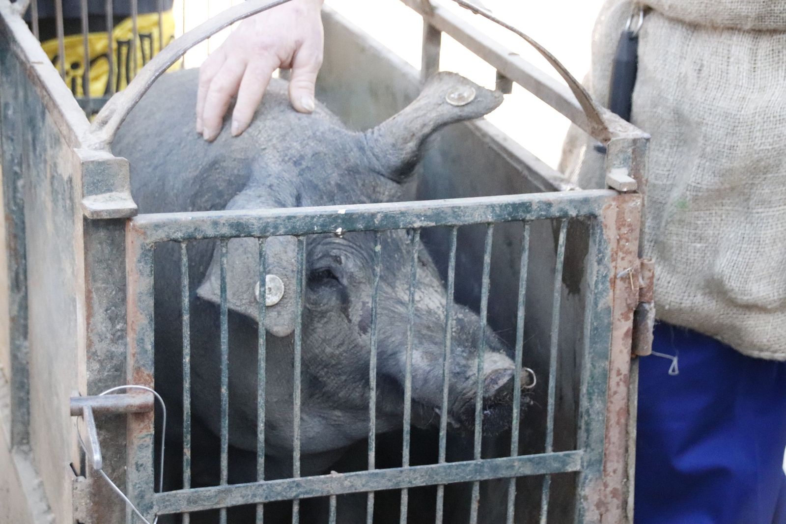 20230204121237-mg-4704