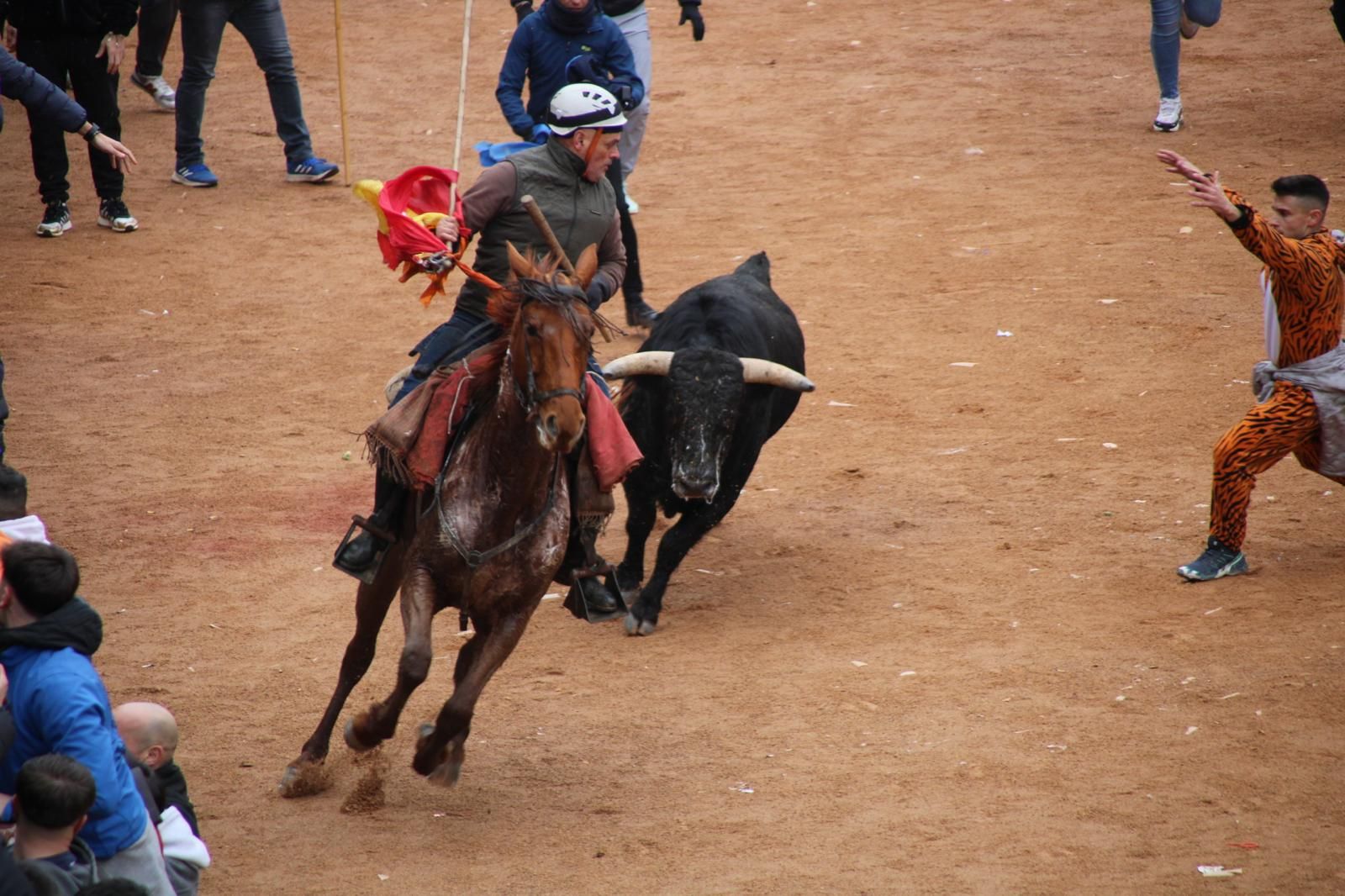 Encierro a Caballo en el Carnaval del Toro 2026 de Ciudad Rodrigo