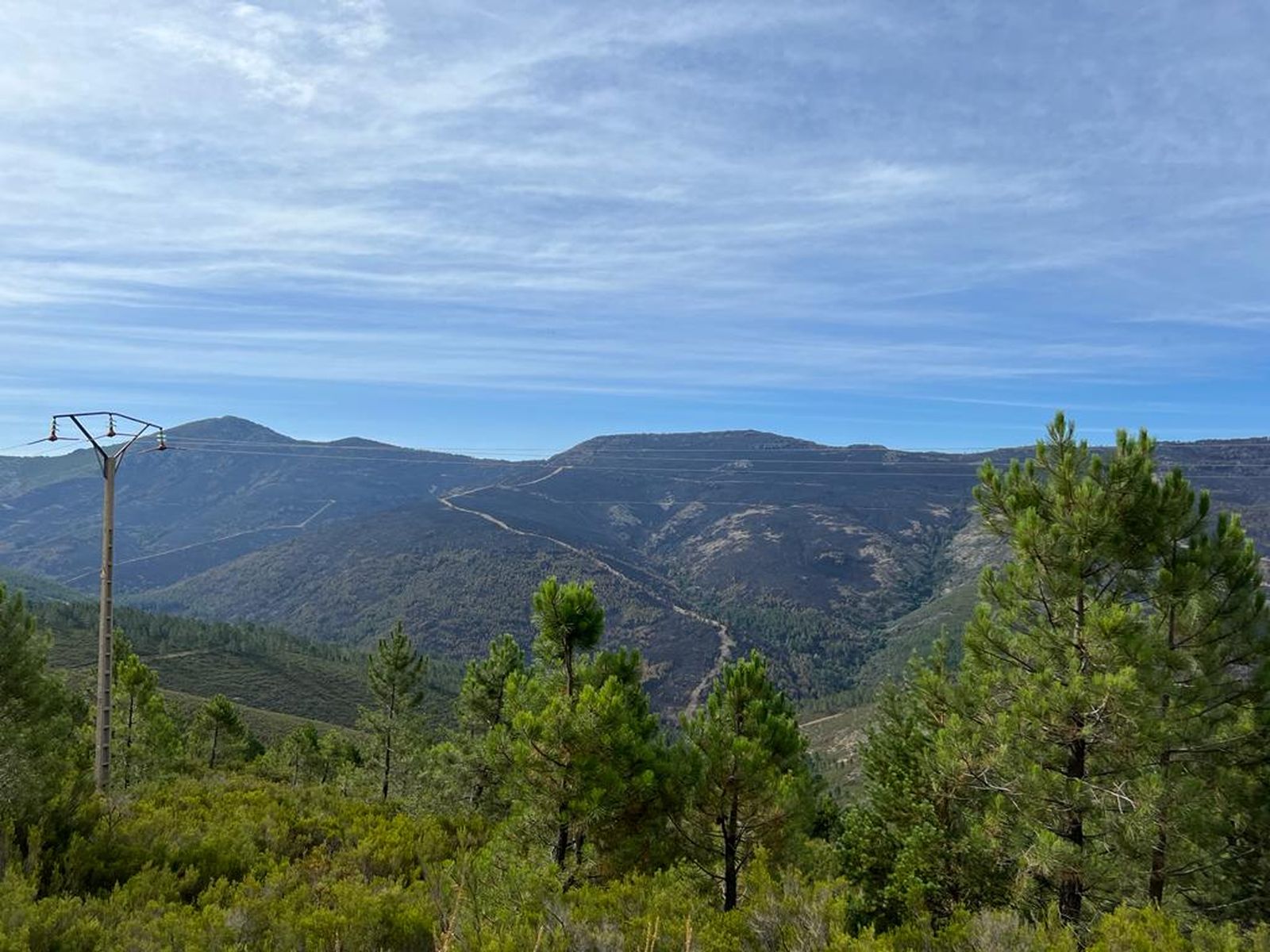 Paso de los lobos hacia Monsagro (14)