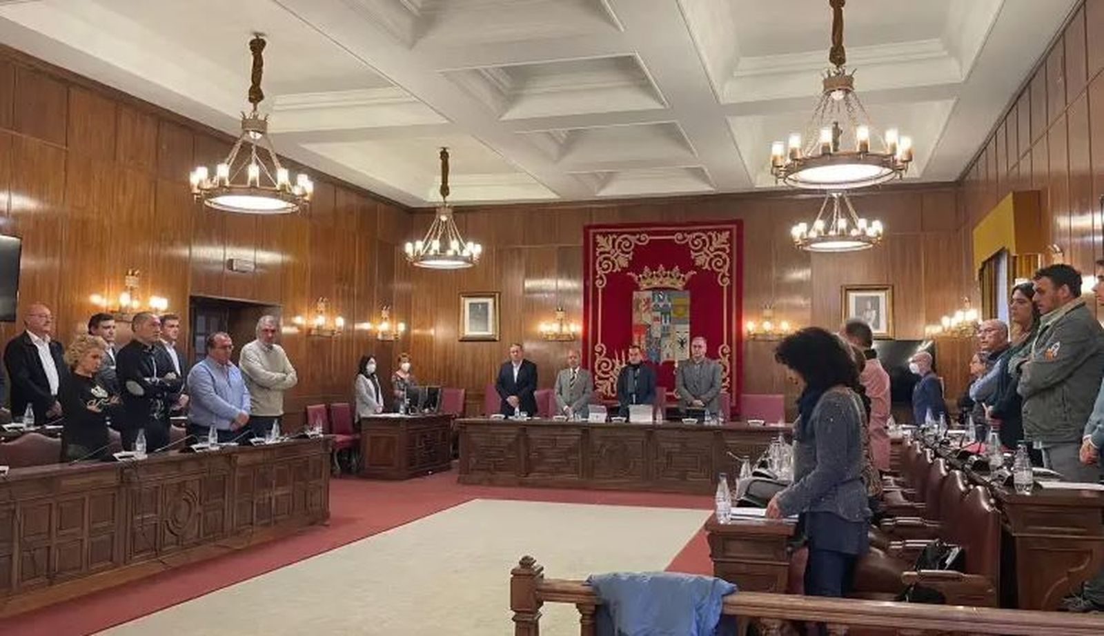 Pleno de la Diputación