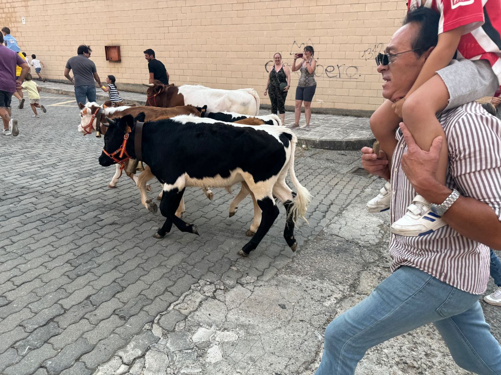 Encierro infantil de Mini Bueyes en Guijuelo durante sus fiestas 2025