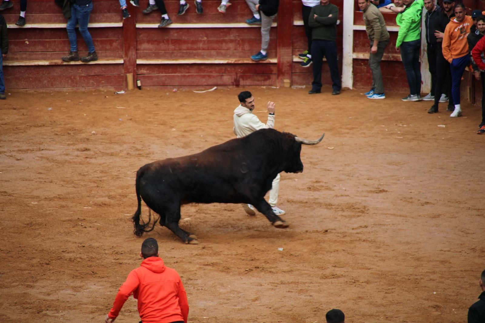 capea-matutina-del-martes-de-carnaval-13