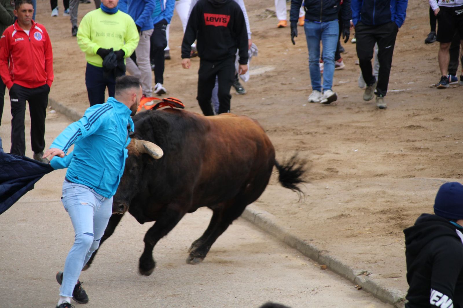 whatsapp-image-2025-03-01-at-11-56-24