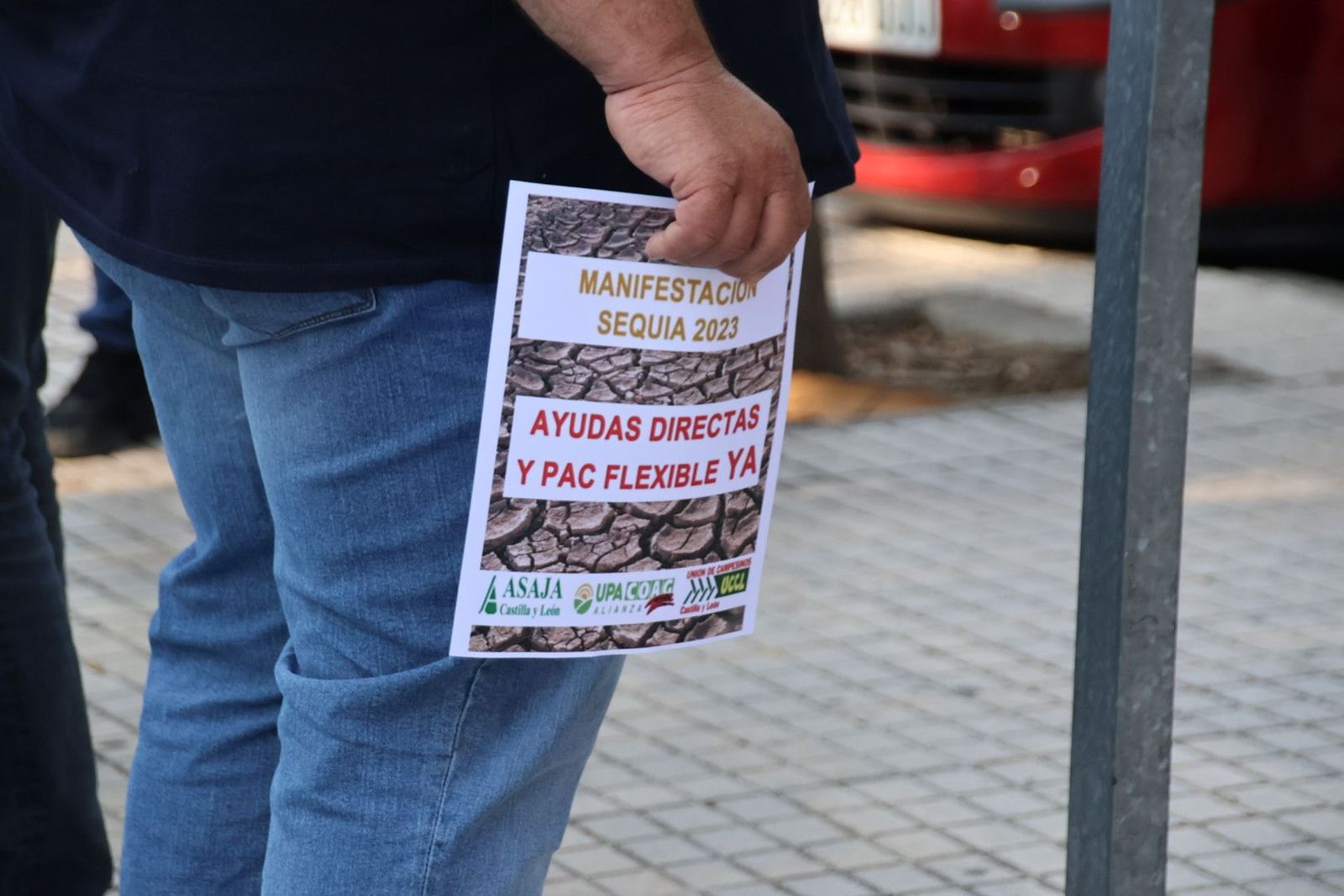 20230615083405-img-2905