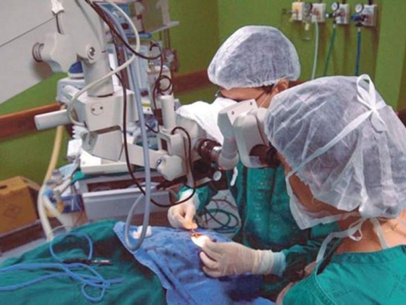 Trasplante órganos2