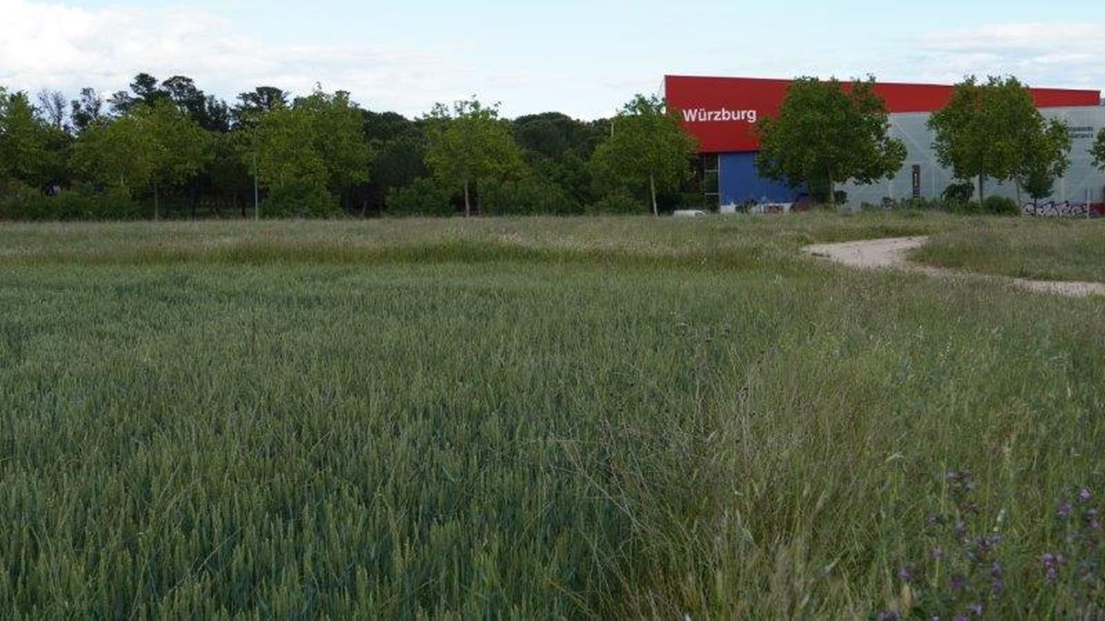 Zonas de campo situadas entre Salamanca y Villares de la Reina denunciadas por asociaciones ecologistas