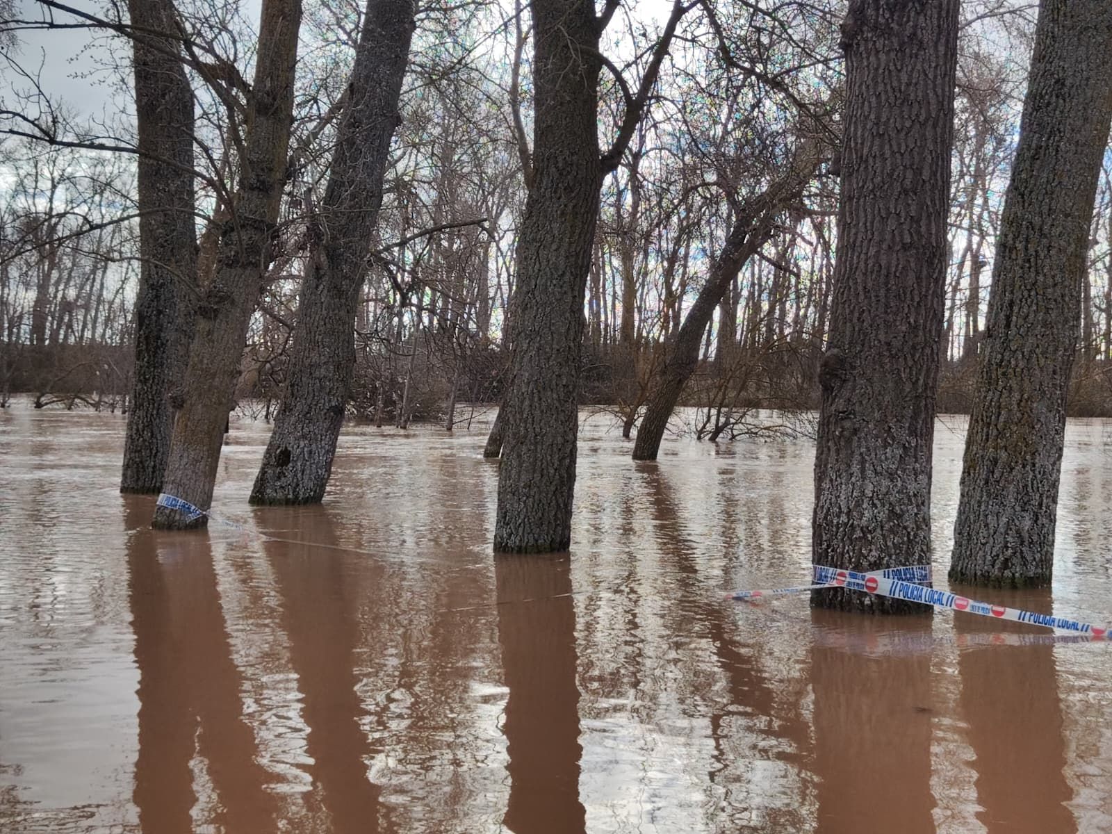 GALERÍA | Crecida del río Duero en Zamora este martes
