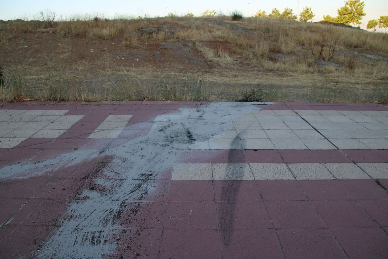 arranca-un-arbol-tras-hacer-un-recto-en-la-calle-victoria-al-circular-a-gran-velocidad-y-abandona-su-vehiculo-en-el-lugar-9