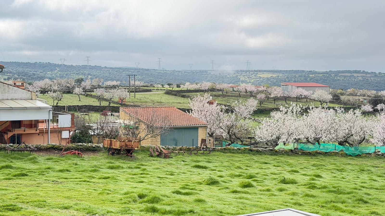 Marcha senderista en Vilvestre