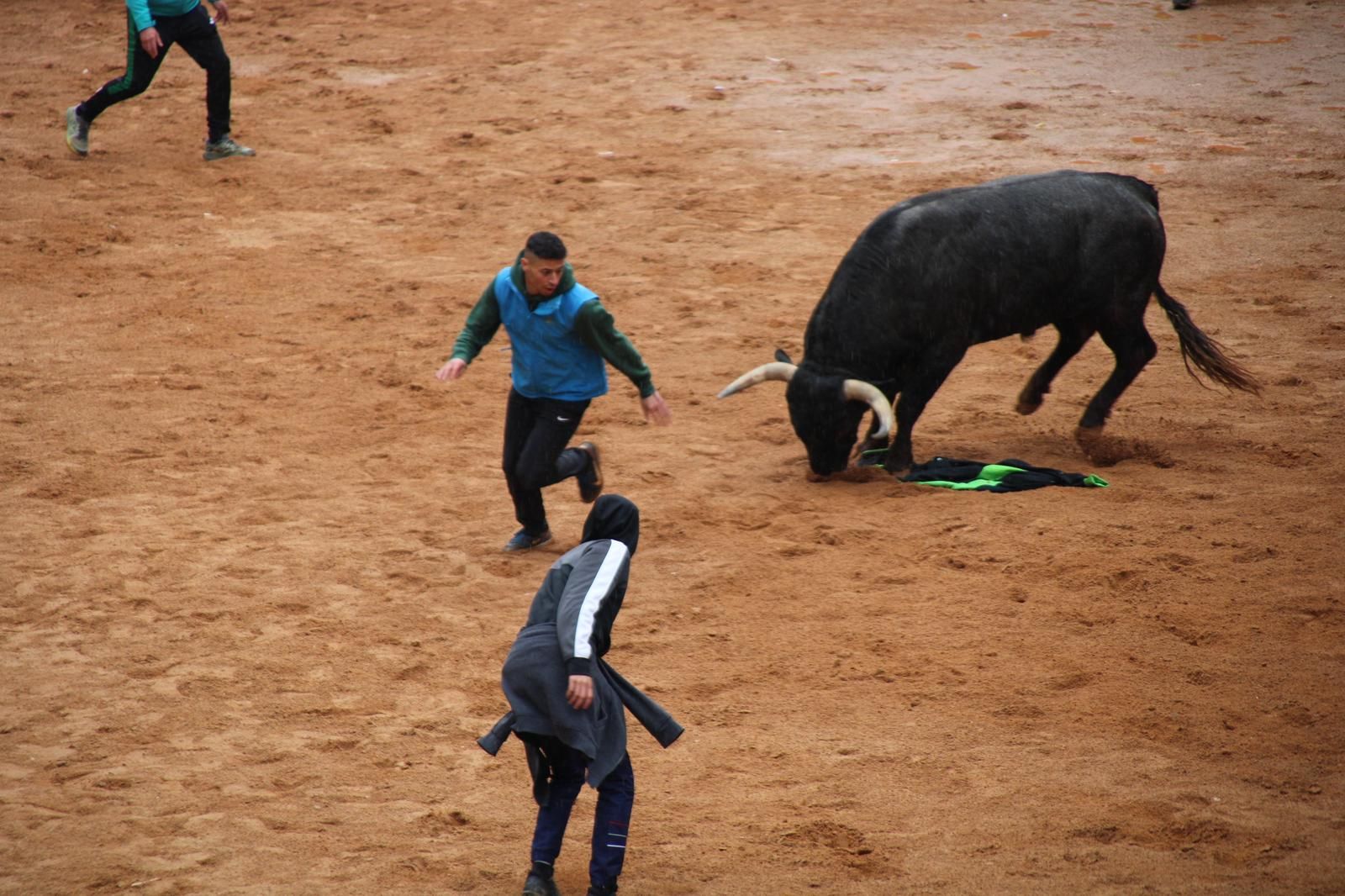 whatsapp-image-2025-03-03-at-12-46-51-2