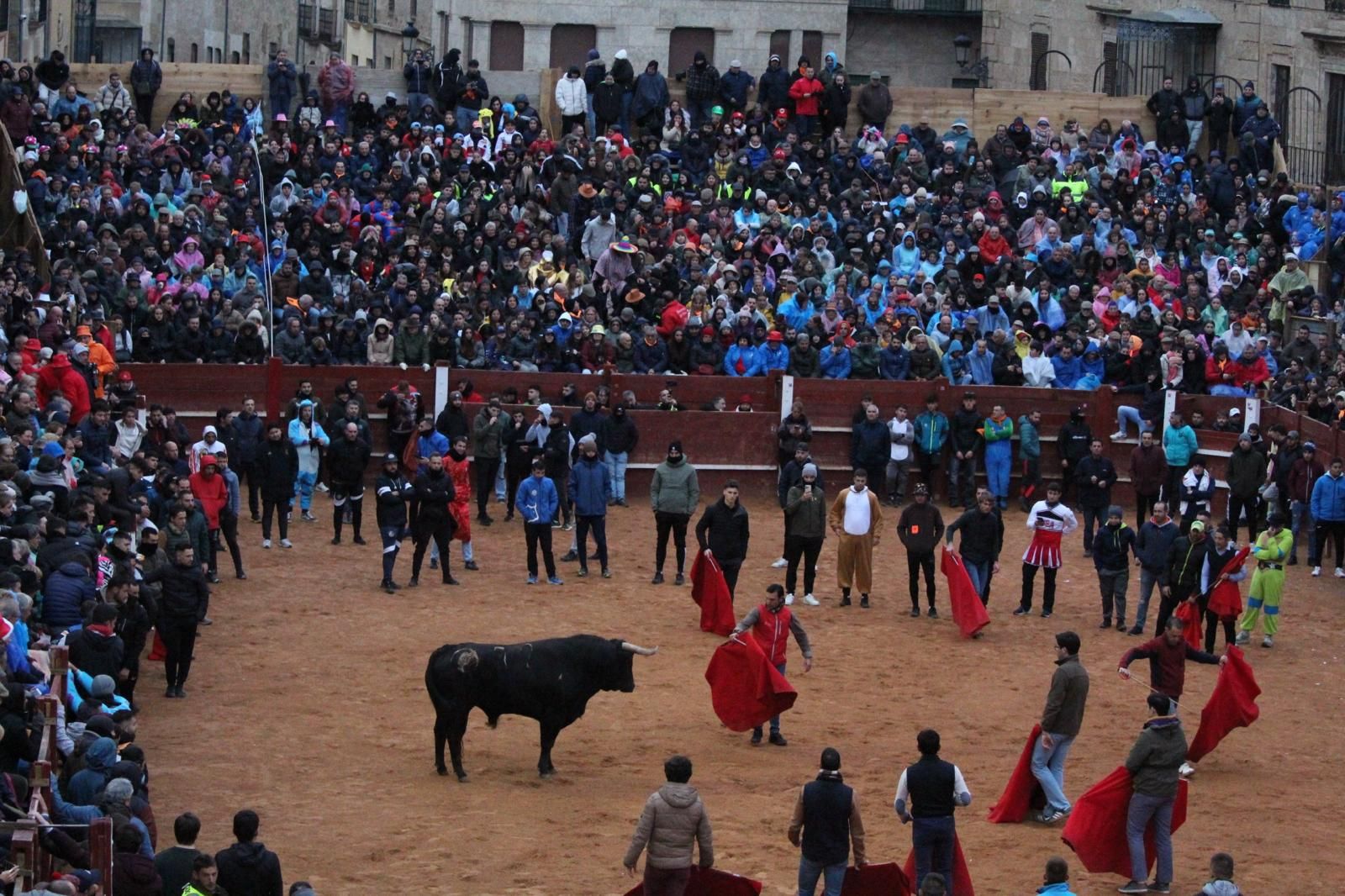 ambiente-y-capea-vespertina-sabado-de-carnaval-en-ciudad-rodrigo-2025-fotos-belen-hurtado-13