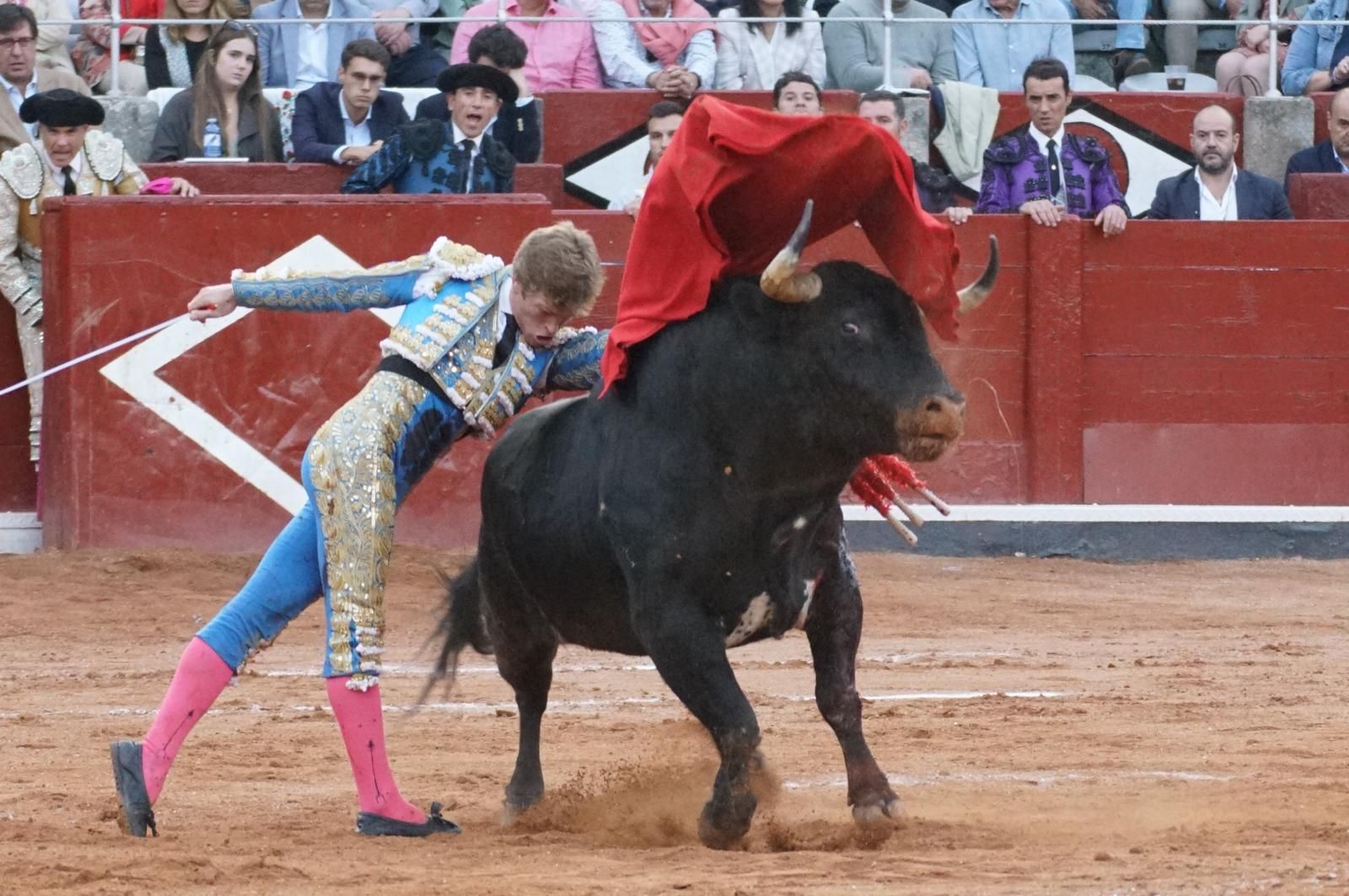 corrida-concurso-momentos-mas-destacados-del-ultimo-festejo-de-abono-de-la-feria-taurina-virgen-de-la-vega-2024-fotos-carlos-h-g-y-juanes-21