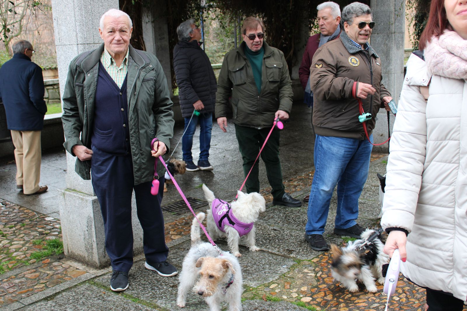 san-anton-bendicion-de-animales-2024-foto-s24h-31