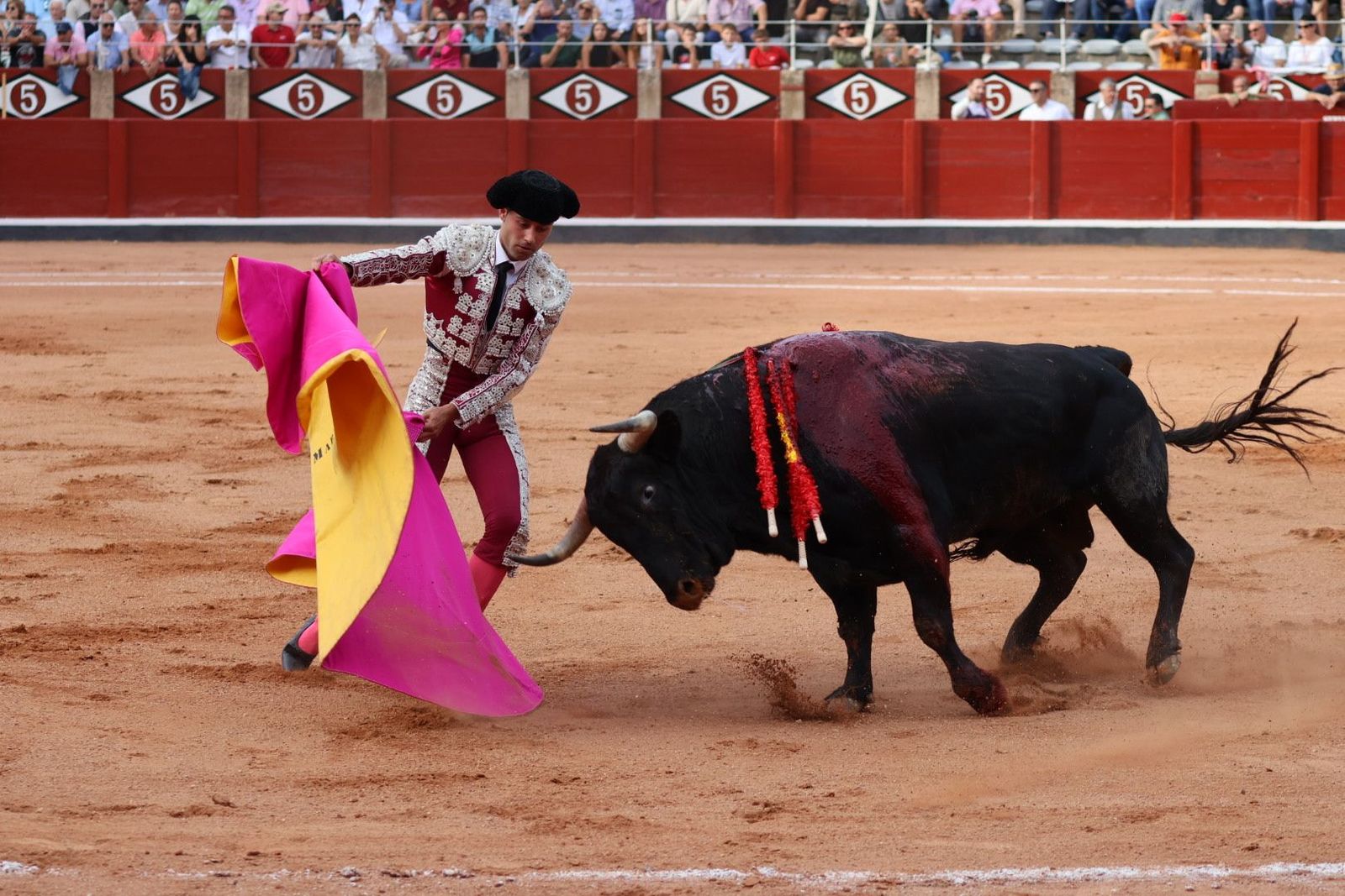 20230910180109-img-1969