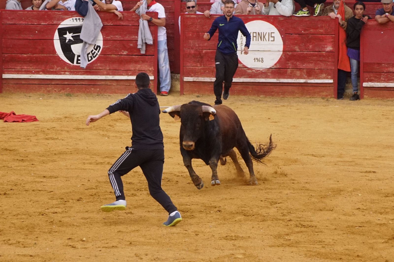 9dcf4258-e935-41f1-8910-8a4ec1958457