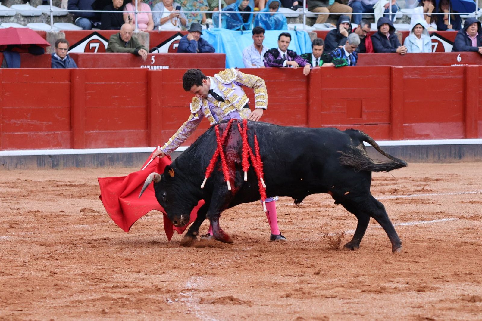 20230915172249-img-3912