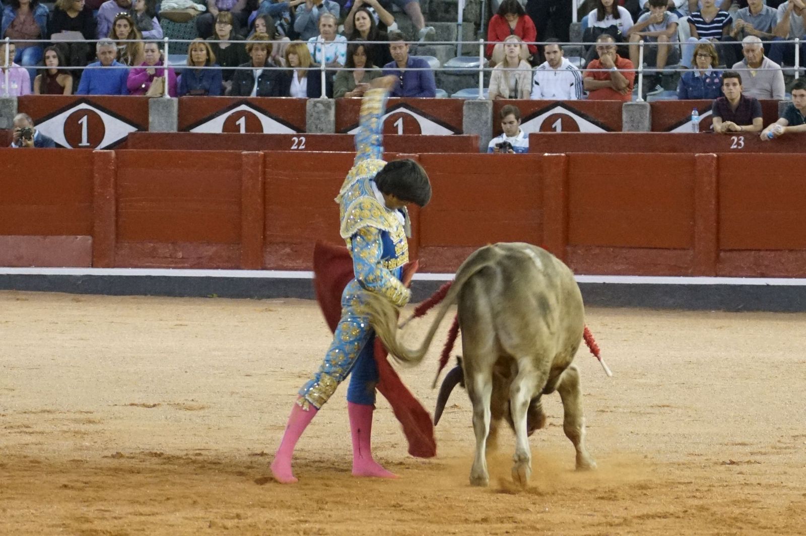 Clase práctica con alumnos de la Escuela de Tauromaquia de Salamanca (Diego Mateos, Noel García y Álvaro Rojo con erales de Esteban Isidro)