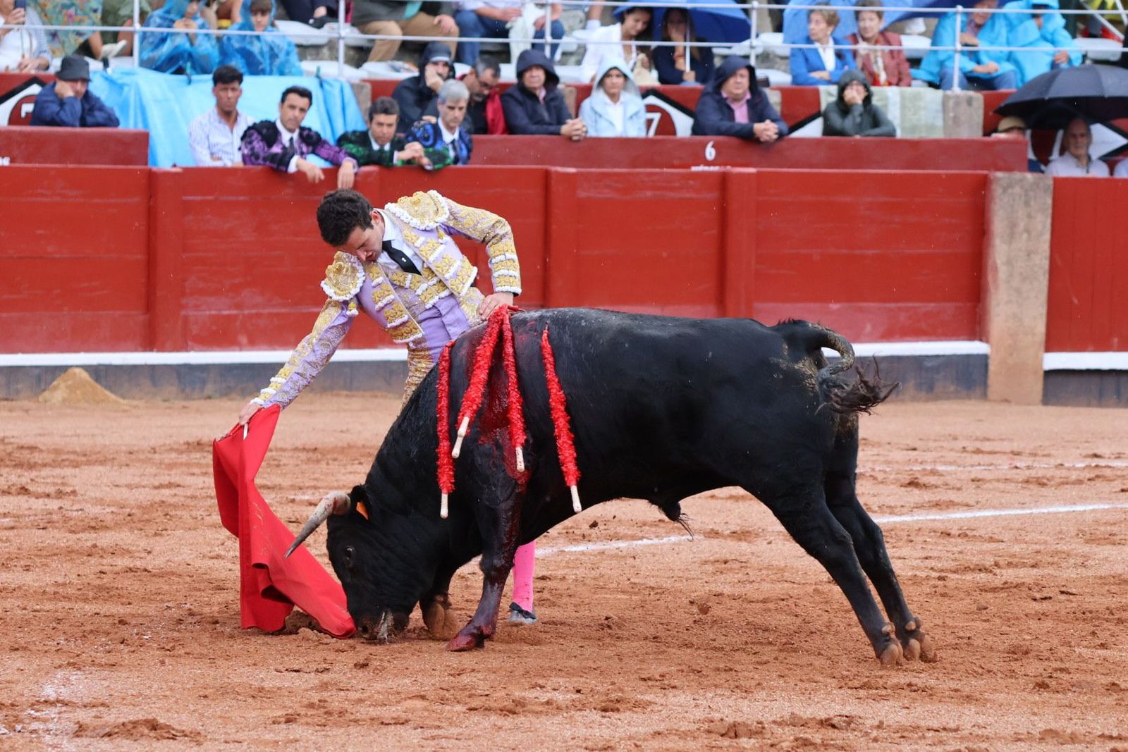 20230915172309-img-3918