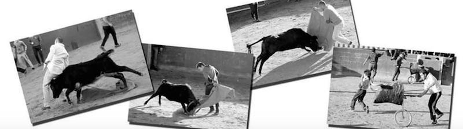 La Asociación Cultural Taurina de Cantalpino se va de capea