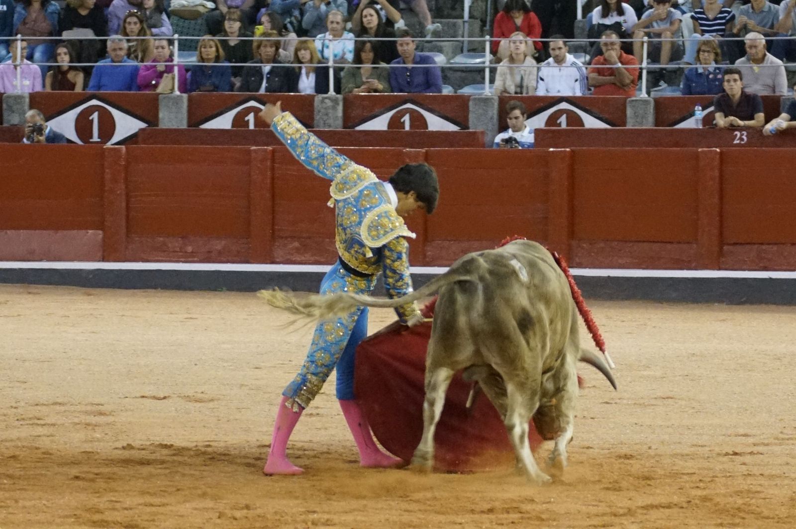 Clase práctica con alumnos de la Escuela de Tauromaquia de Salamanca (Diego Mateos, Noel García y Álvaro Rojo con erales de Esteban Isidro)