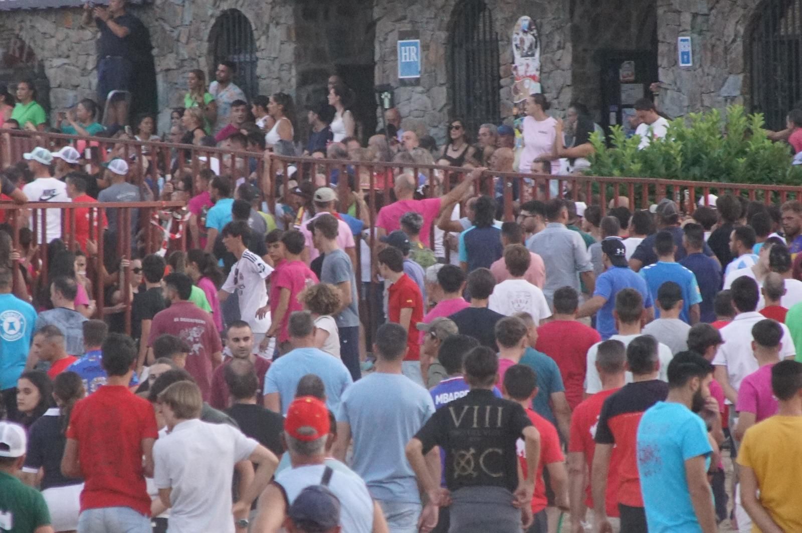 Pasión, tradición y calle: así se ha vivido en Ledesma el II Toro de Cajón