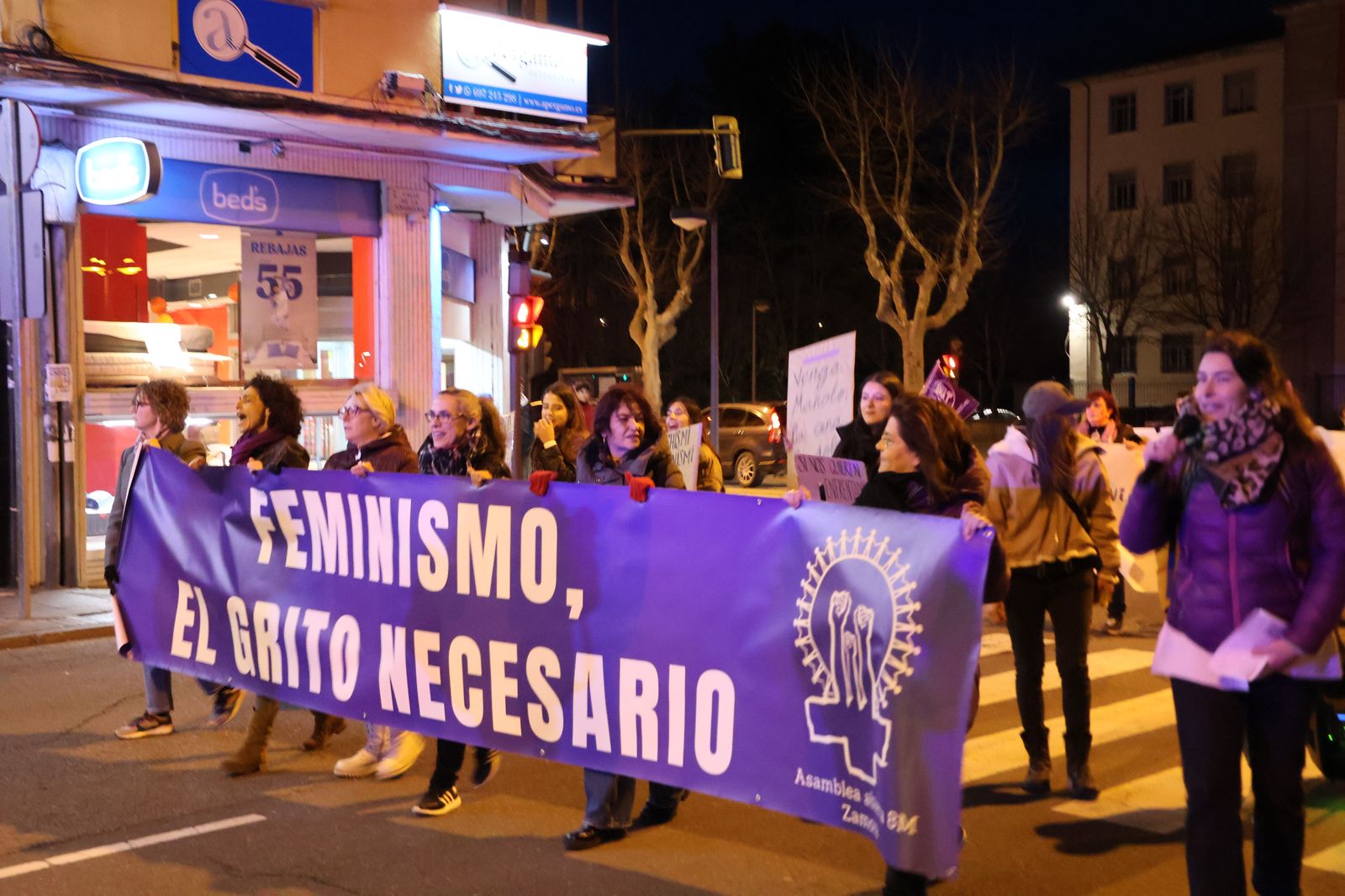 marcha-del-8m-en-zamora-29