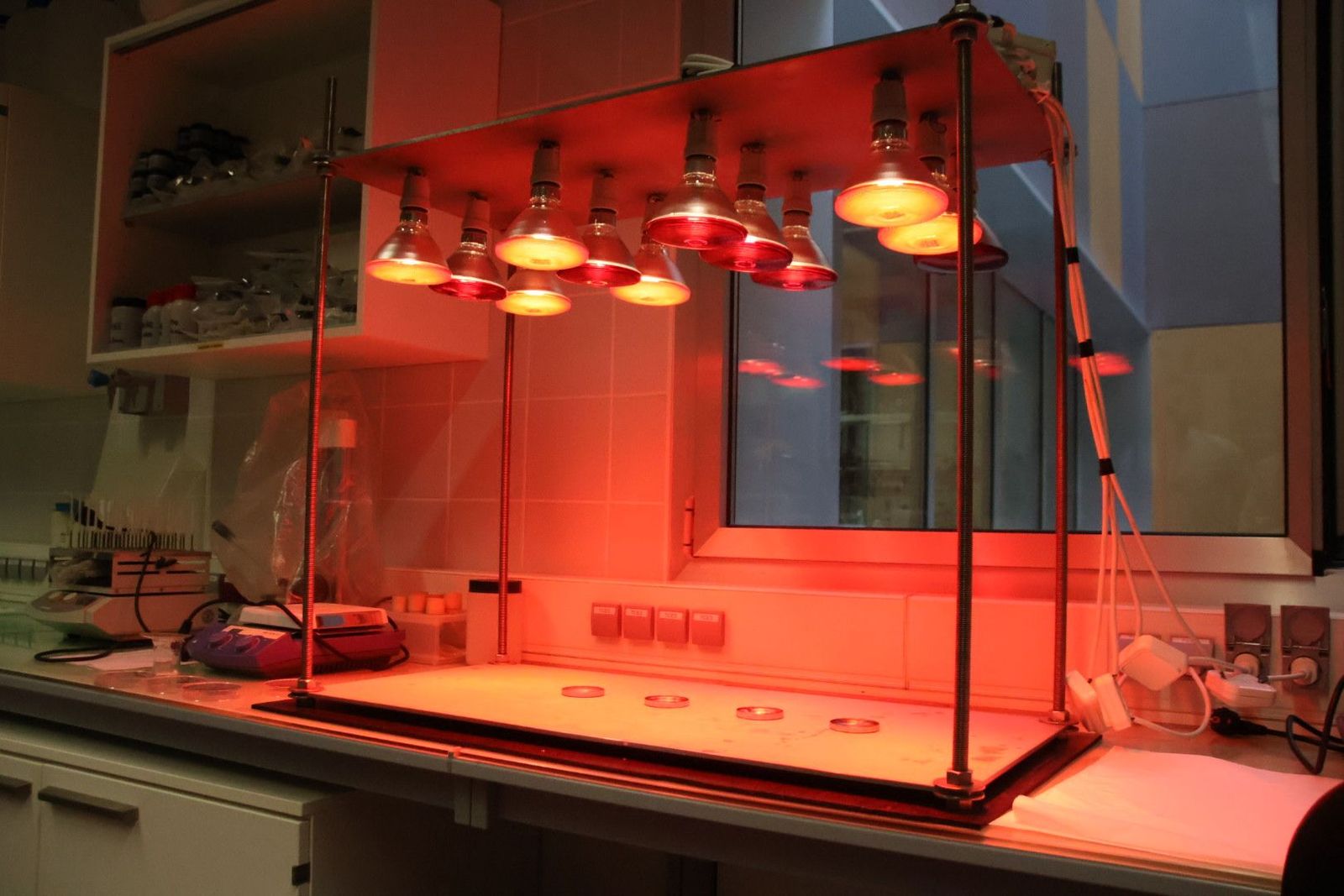 20231013102330-img-3062