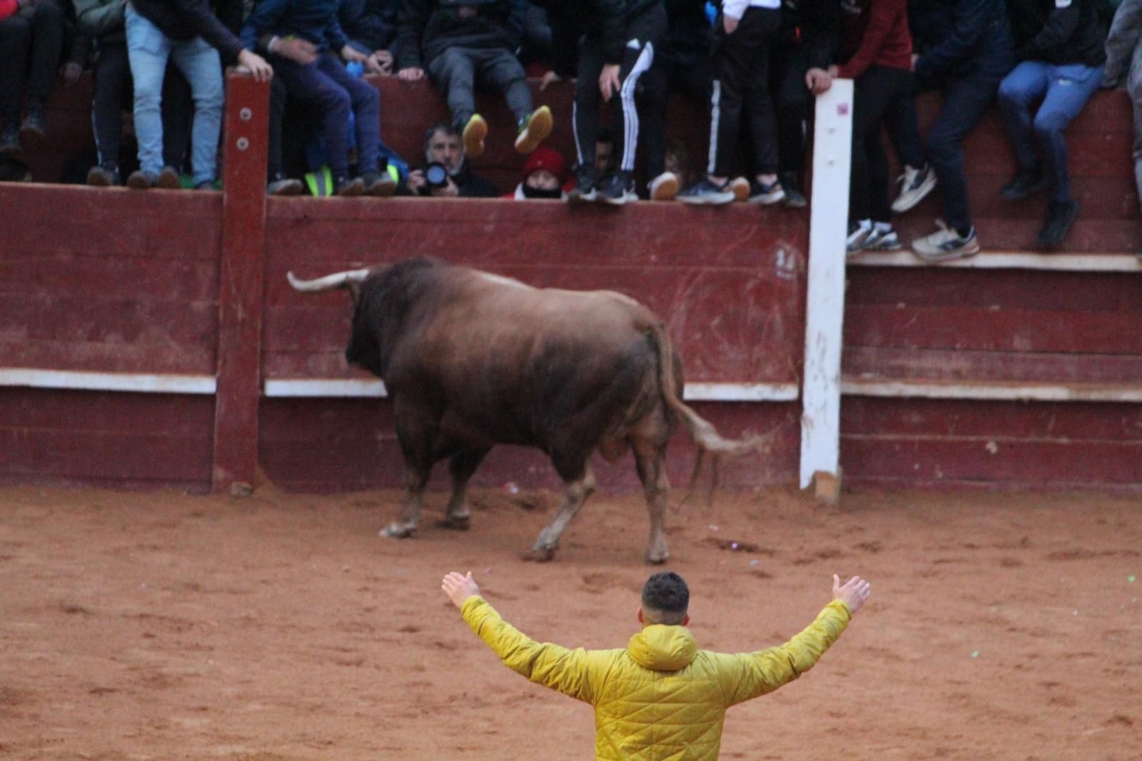 ambiente-y-capea-vespertina-sabado-de-carnaval-en-ciudad-rodrigo-2025-fotos-belen-hurtado-56