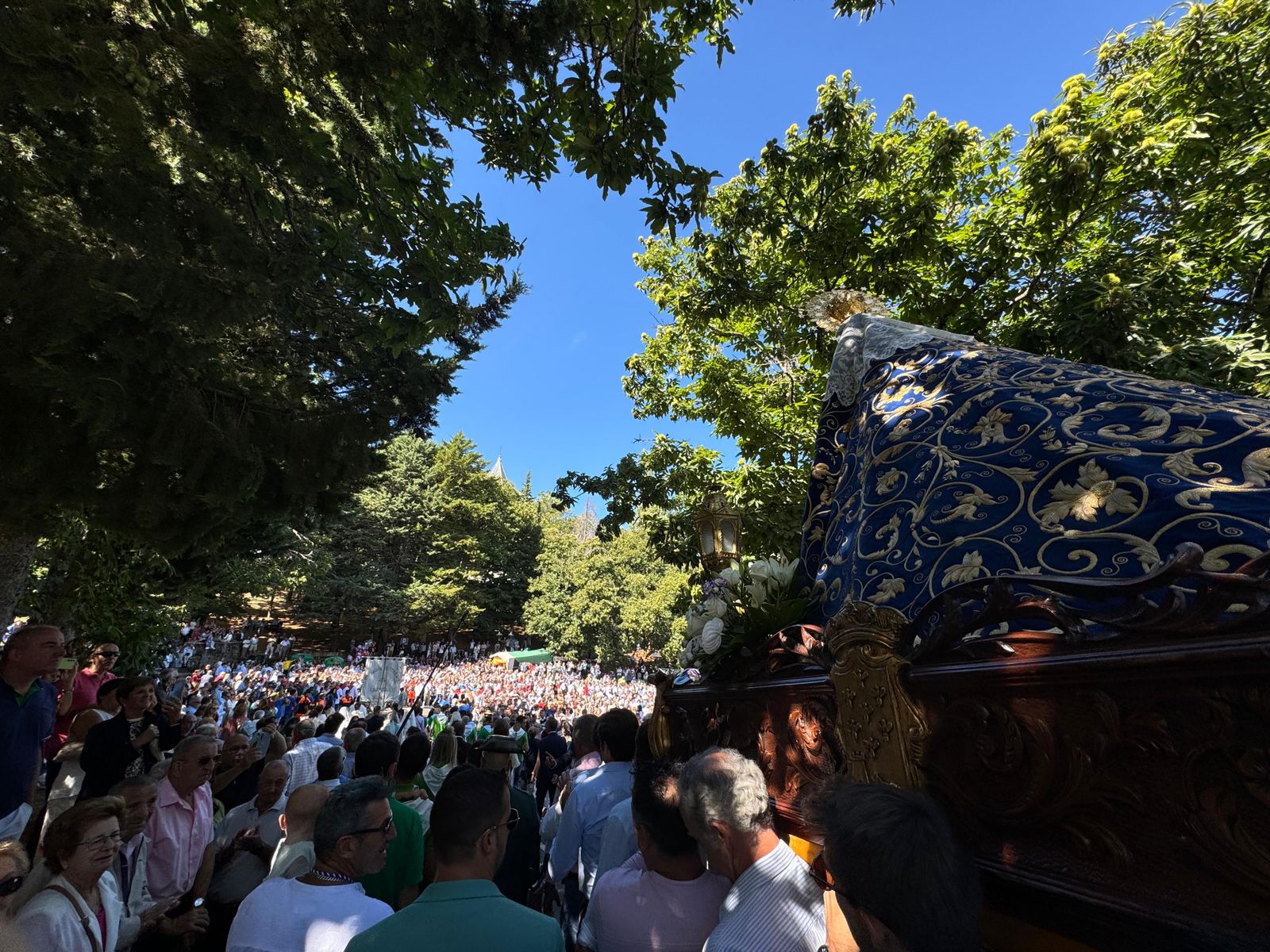 whatsapp-image-2024-09-08-at-15-26-38-1